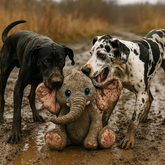 Gentle Giants Plush Elephant Dog Toy | Heavy Duty Dog Toys for Large Dogs Dog Enrichment Toys for Large Dogs | Dog Toys Without Squeakers - Grey