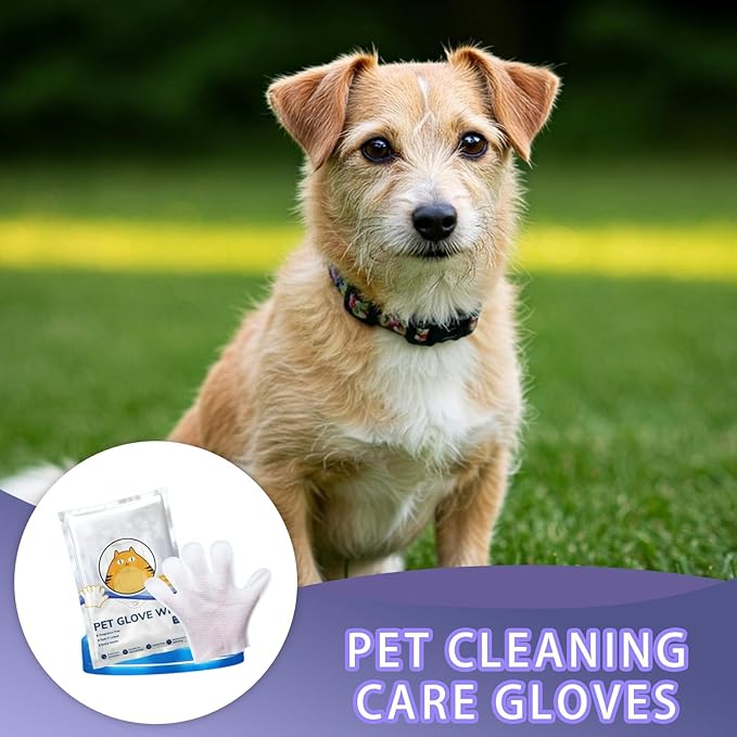 Odor-Removing Pet Grooming Gloves, Odor-Removing Pet Grooming Gloves, Nourishing Waterless Portable Grooming Tool, Refreshing and Water-Free, For Cats and Dogs