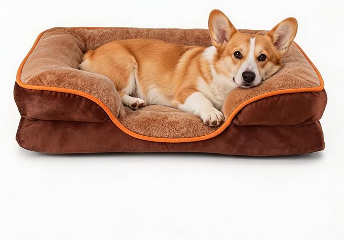 NEWBULIG 35x25 Inch Orthopedic Dog Bed Large Sized, Dog Couch/Sofa Bed with Washable Cover, Waterproof, Memory Foam, Soft Fluffy Surface