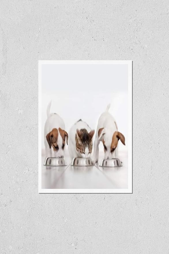 HardPress Wall Art Poster Print of Dog and Cat Eating Food. Puppy Eating Dogs Food. Pets at Home