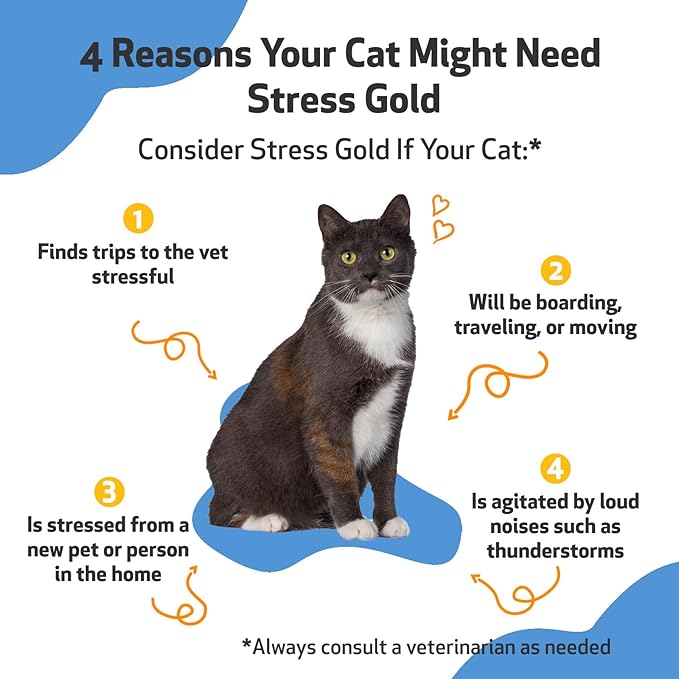 Pet Wellbeing Stress Gold for Cats - Vet-Formulated Situational Feline Stress Support - Fast-Acting Vet Visits, Travel, Grooming - Cat-Safe Holistic Herbal Blend - Liquid Support 2 oz (59ml)