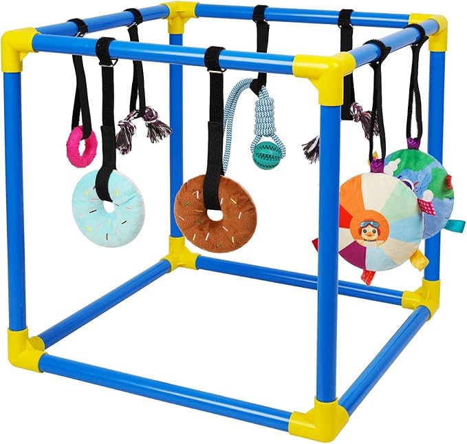 Liitrton Puppy Play Gym - Small Dogs Play Gym with 8 Hanging Toys, Indoor Puppy Jungle Gym with Interactive Dog Enrichment Toys, 19.5"x19.5"x19.5" PVC Frame (Blue)