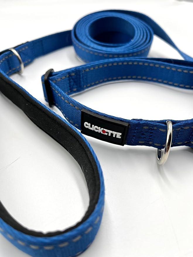Clickette- Magnetic Quick-Lock Collar & Leash (Bue, Medium)