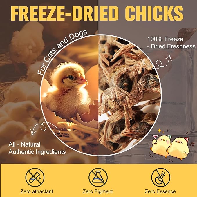 Memorjew Freeze Dried Chicken for Cats and Dogs - 130g (4.59oz) Bagged, Fresh - Tasting Treats for Training & Dental Care (S, Chicken)