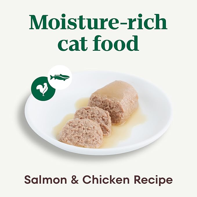 Nutro Perfect Portions Wet Cat Food Pate Salmon & Chicken Recipe, Grain Free Wet Cat Food, 2.64 oz. Twin-Pack Trays (24 Count, Pack of 1)