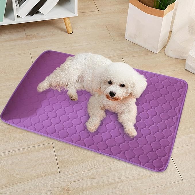 Washable PeePads,Absorbent Reusable Puppy Potty Pee Pads | Leakproof Pet Supplies Non-Slip Whelping Mats for All Breeds