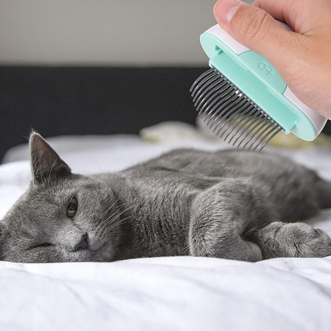 Cat Hair Comb with Massage Brush Stripping Tool for Grooming Cat Cleaning Comb for Shedding Dematting Premium Pet Grooming Tool in Mint Green