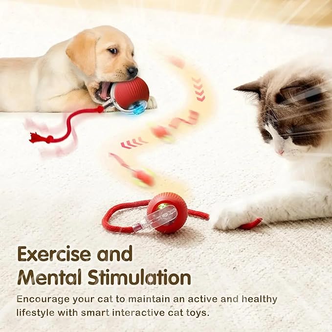 Cat Smart Rolling Ball [RED], LED Lights, Indoors for Active Cats - Rechargeable, Automatic, Speedy Tail/Rope