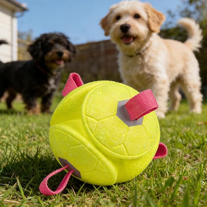 Fetch Balls for Dogs | Interactive Stimulating Pet Supplies,Dog Chew Toys Fetch Ball | for Small Large Breed Aggressive Chewers Indoor Outdoor Enrichment Stimulation Boredom