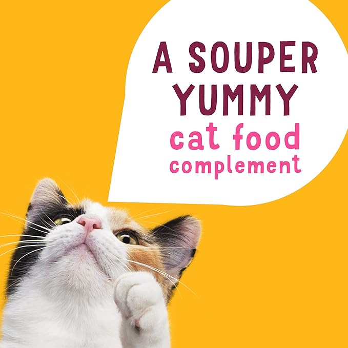 Purina Friskies Lil’ Soups Wet Cat Food Complements Variety Pack Salmon, 1.2 Ounce (Pack of 16)