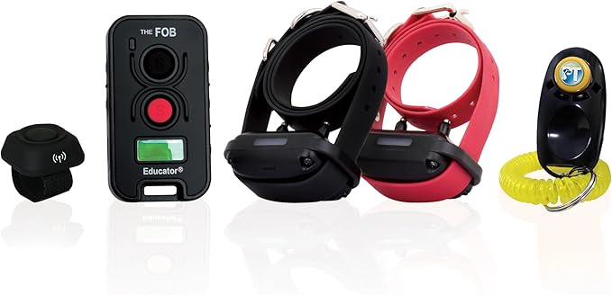 E-Collar Technologies FOB Educator Remote Dog Training Collar, Hands-Free Button for Small Medium Large Dogs, Waterproof, Rechargeable (FE-562B)