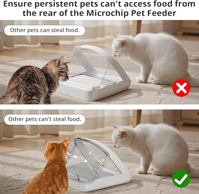 Rear Cover for Automatic Microchip Cat Pet Feeder - Prevents Persistent Pet from Getting Food from The Back of The Feeder (3 Pack)