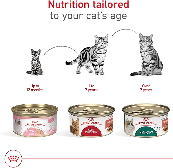 Royal Canin Feline Health Nutrition Adult Instinctive Adult Thin Slices in Gravy and Loaf in Sauce Variety Pack Cat Food, 3 oz (Pack of 12)
