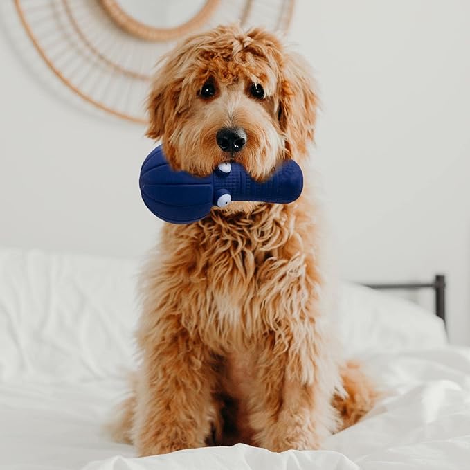 Dog Squeaky Toy Interactive Toy Cleaning Molar Pet Supplies