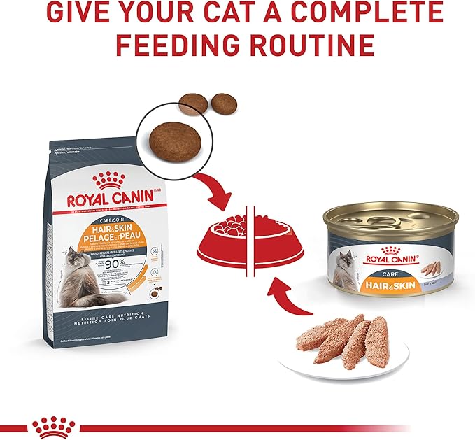 Royal Canin Feline Care Nutrition Hair & Skin Care Adult Loaf in Sauce Cat Food, 5.1 oz (Pack of 24)