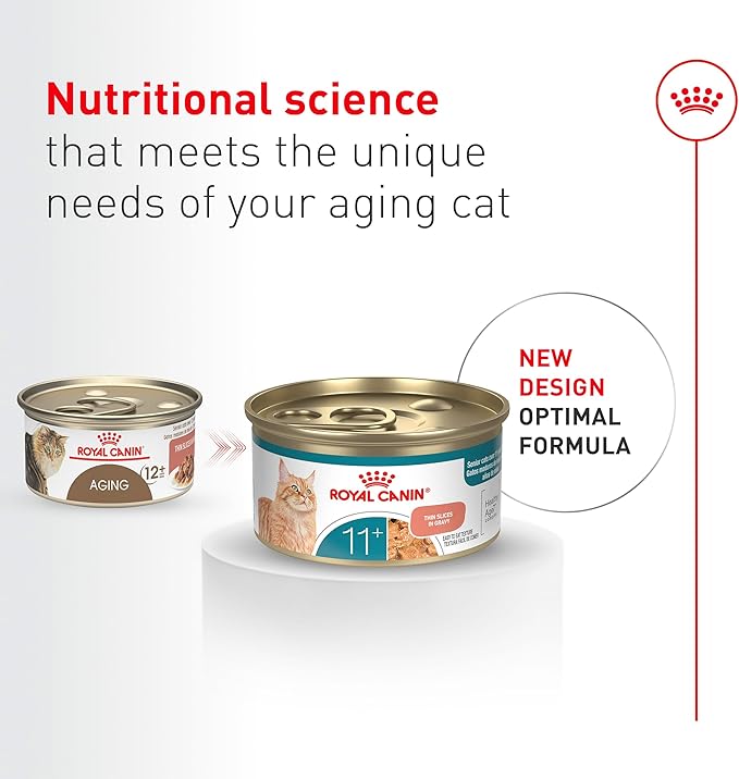 Royal Canin Feline Health Nutrition Aging 11+ Wet Cat Food for Seniors, Thin Slices in Gravy for Cats Over 11 Years, Supports Optimal Health & Vitality, 3 oz can, case of 12