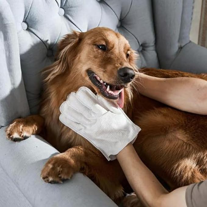 Odor-Removing Pet Grooming Gloves, Nourishing Waterless Portable Grooming Tool, Refreshing and Water-Free, for Cats and Dogs (12pc)