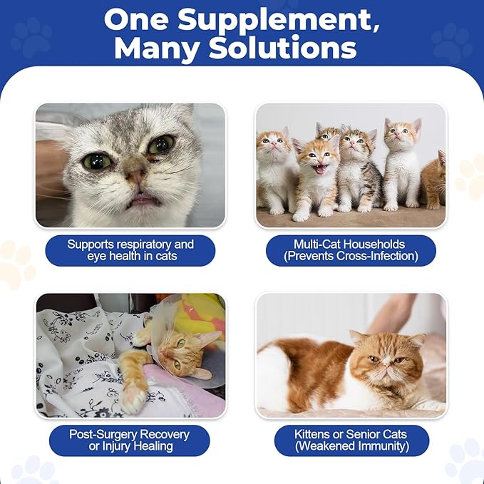L-Lysine Supplement for Cats,Easy-Dispense Oral Gel in Syringe, Immune and Respiratory Support, Lysine for Cats and Kittens,Eases Cat Sneezing and Allergy Relief–Chicken Flavor,3.7oz