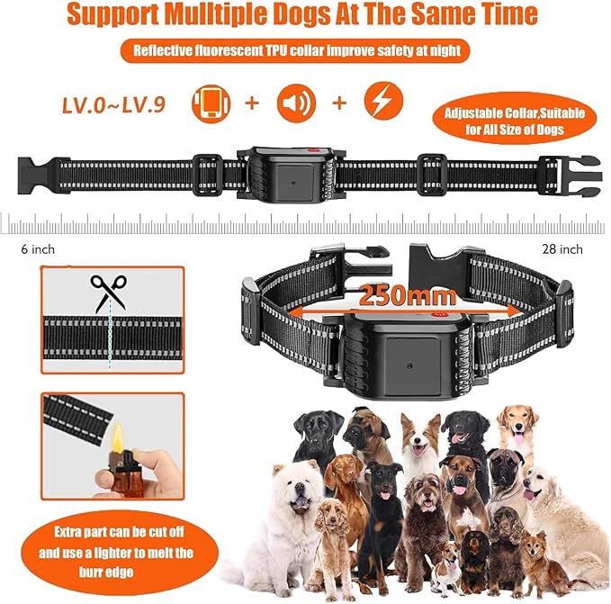 Wireless Dog Fence, Electric Dog Fence & Remote Training Collar 2 in 1, Vibration & Shock, IP67 Waterproof Receiver, 3 Modes, 2026 Pet Boundary Containment System for 1/2/3/4 Dogs,for3dogs