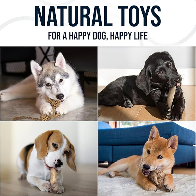 4Pcs Coffee Wood Chew Stick & Hemp Dog Ball Toy for Small & Medium Dog 25-50lbs, 100% Natural, Teething Chewing Interactive to Keep Them Busy, Wood Chew Toy for Birthday