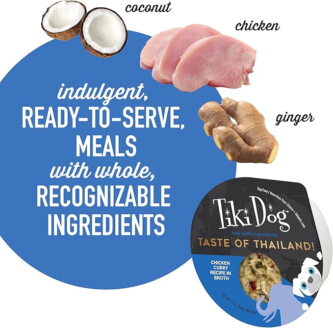 Tiki Dog Taste of The World Whole Food, Thailand Chicken Curry Recipe in Broth, Culinary Inspired High Protein and Moisture Rich Superfoods Wet Dog Food, 3 Oz Cups, Pack of 4