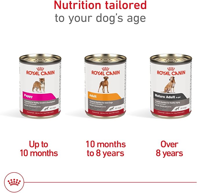 Royal Canin Canine Health Nutrition Puppy Canned Dog Food, 13.5 oz (Pack of 6)