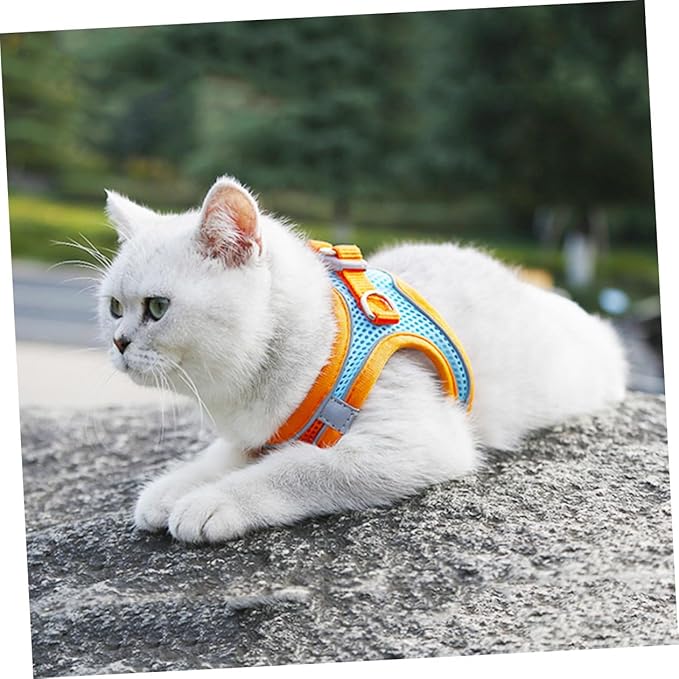 BESPORTBLE Reflective Puppy Vest Leash and Dog Harness Breathable Mesh Chest Strap Medium Size for Walking Cats and Dogs Pet Supplies