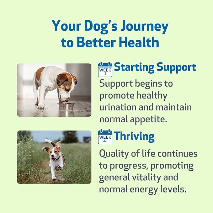 Pet Wellbeing Kidney Support Gold for Dogs - Supports Healthy Kidney Function, Fluid Balance, Energy Levels, Rehmannia, Dong Quai - Veterinarian-Formulated Herbal Supplement 2 oz (59 ml) (Pack of 2)