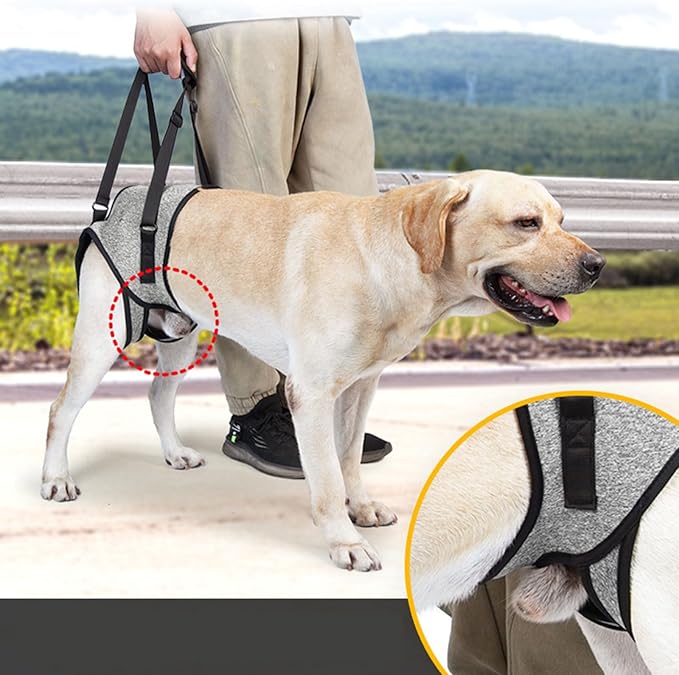 Dog for Large Dogs Back Lift Harness for Injured Elderly Dogs Disabled Pet Supplies for Back Legs Accessories
