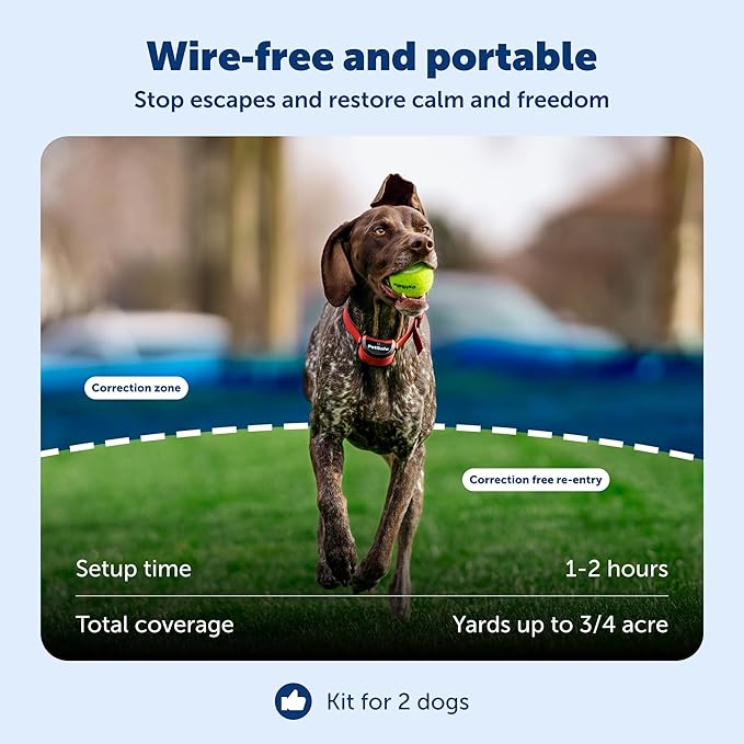 PetSafe Stay & Play 2-Dog Wireless Fence for Stubborn Dogs - America's Safest Wireless Pet Containment System - No Dig Electric Fence - Circular Boundary - Secure 3/4-Acre Yard - for Dogs 5lb+