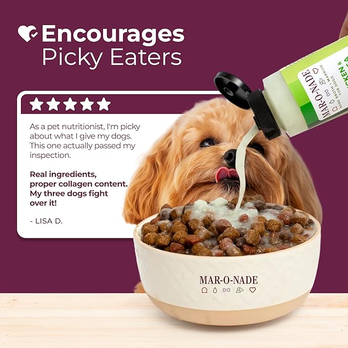 Bone Broth + Marrow Topper for Dogs - Chicken & Green Pea, 8 fl oz - Grain-Free, AAFCO-Compliant, Small-Batch Nutritional Topper