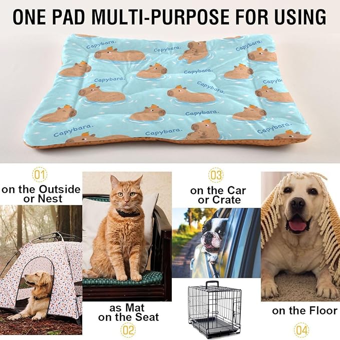 Dog Bed for Crate Washable Pet Sleep Pad, Capybaras Print Kennel Mat with Non-Slip Bottom, Soft Fluffy Supplies Pet for Dogs and Cats (36x24 inch)