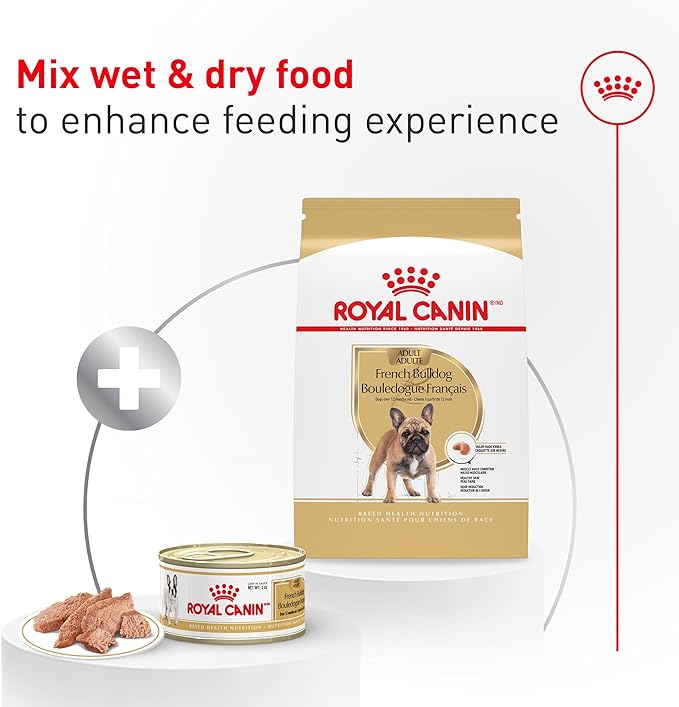 Royal Canin Breed Health Nutrition French Bulldog Wet Dog Food for Adult Dogs, Loaf Wet Food for French Bulldogs 12 Months+, Supports Digestive Health and Bone & Joint Health, Multipack 6 x 3 oz cans