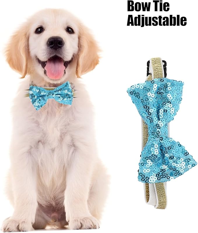 Dog Birthday Party Supplies Set with Hat Scarf Bow Tie, Reusable Pet Birthday Decorations for Small to Medium Dogs, Includes Streamers Ribbon and Pin for Photo Shoots