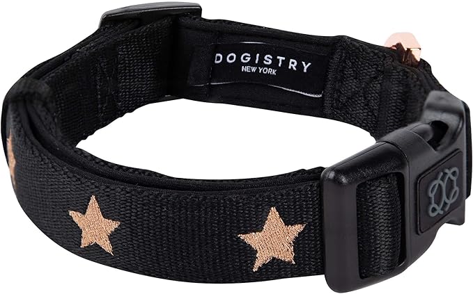 The Fi Rockstar Collar - Luxury Design Meets Smart Tech - Crafted for Fi Series 3/3+ - Seamless Style & Craft