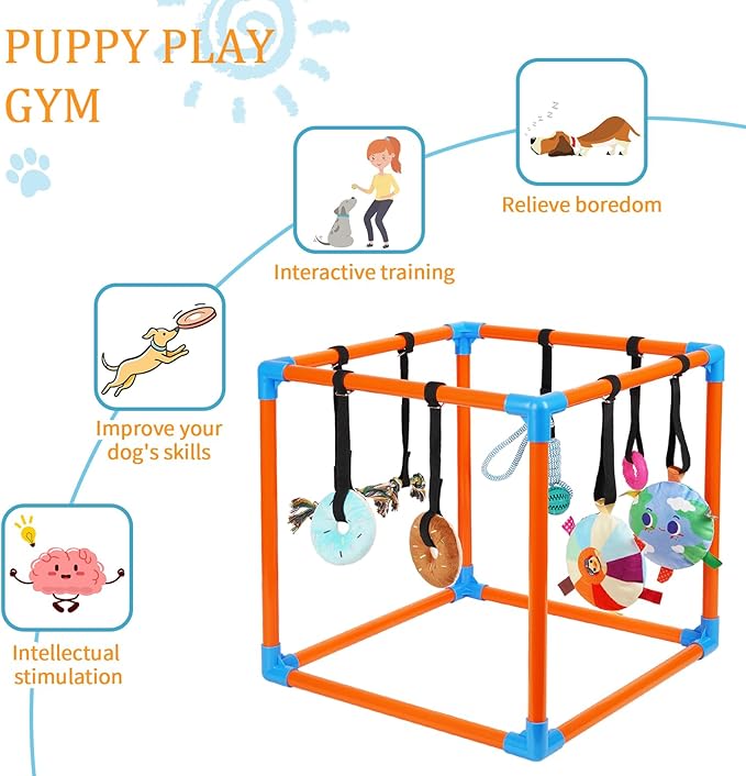 Liitrton Puppy Play Gym - Small Dogs Play Gym with 8 Hanging Toys, Indoor Puppy Jungle Gym with Interactive Dog Enrichment Toys, 19.5"x19.5"x19.5" PVC Frame (Orange)