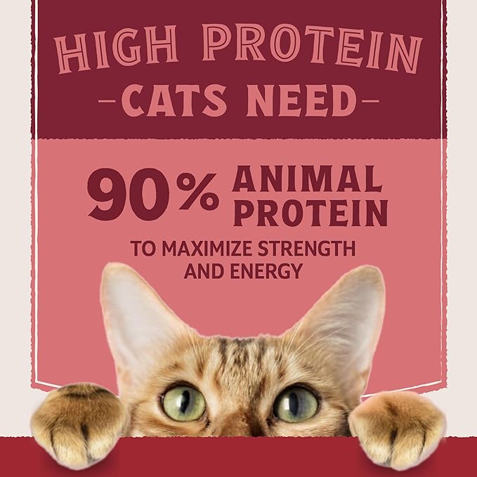 Natural Balance Ultra Protein Wet Cat Food Pate, Real Salmon Recipe with Protein-Rich Organs for Cats, Pate Cat Food with High Protein - 2.8 oz. (Pack of 24)