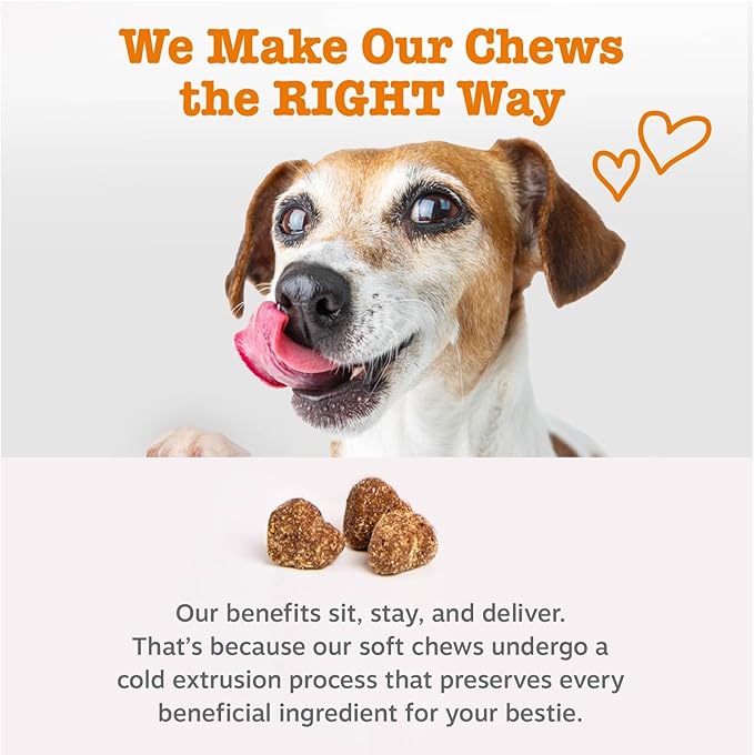 Zesty Paws Stay Green Bites for Dogs - Grass Burn Soft Chews for Lawn Spots Caused by Dog Urine - with Cranberry for Urinary Tract & Bladder - Beef - 90 Count