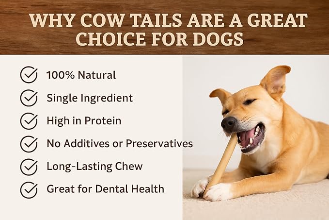 16 Pack Cow Tails for Dogs, High Protein Dog Treats, 100% naturally Sourced Long Lasting Dog Chews from Free Range Grass-Fed Cattle Chew for Dog Snacks, Rawhide Alternative Beef Tails Candy 16 Count