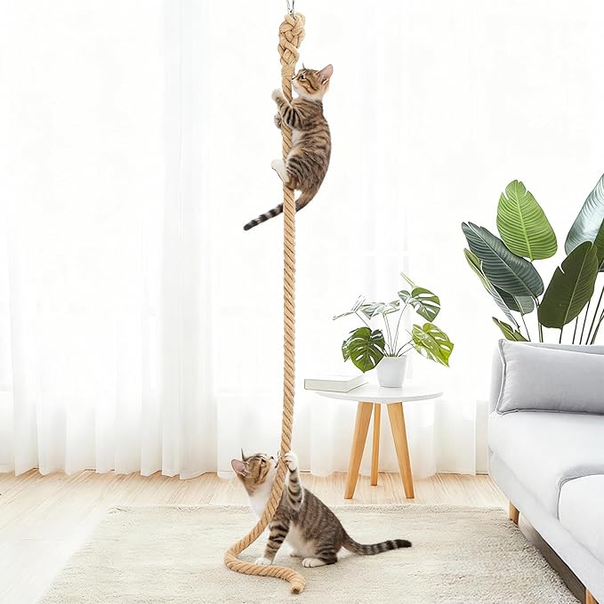 2" x 9.8Ft Cat Climbing Rope with Hook, Natural Sisal Ropes for Ceiling and Wall Mounted, Durable Space Saving Cat Climbing Jute Rope Toy with Scratching Kitten Rope for Indoor and Outdoor