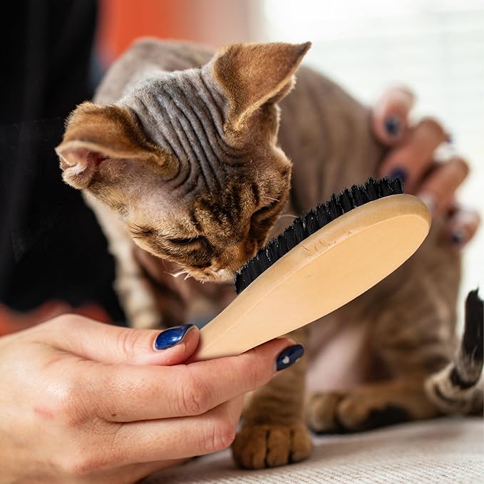 TOYANDONA Wood Handle Boar Bristle Cat Brush Clothes Cleaning Brush with Long Handle Indoor Cat Grooming Tool for Pet Hair Removal and Fabric Care