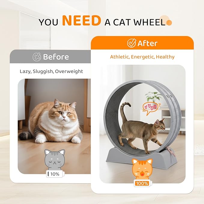 VINGLI Cat Exercise Wheel, 31" Cat Treadmill for Indoor Cats, Cat Running Wheel with Carpeted Runway for Weight Loss & Daily Exercise (Grey)