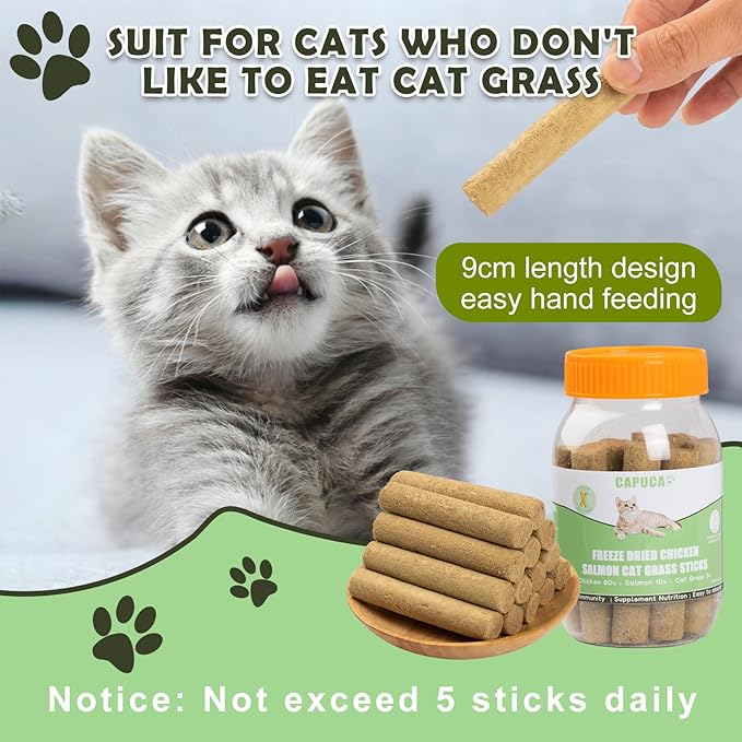 Cat Grass Teething Stick 80g - Freeze-Dried Chicken & Salmon Dental Cat Treats Hairball Control, High Protein Snacks for Kittens & Cats