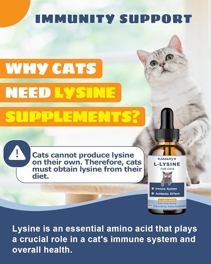 Cat Lysine Drops & 9 in 1 Dog Mushroom Powder