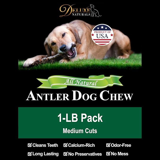 1-LB Medium Mixed Whole & Split Elk Antler Dog Chews (5.5-8+ in) – Long Lasting Natural Treats for Small to Medium Dogs Under 40 lbs – Durable Bones for Teeth Cleaning