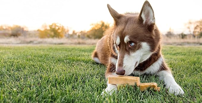 peaksNpaws Yak Cheese, High Protein, Himalayan Dogs Chews, Natural Dog Treats, Lactose Free, Long Lasting Dogs Treat for Aggressive Chewers Under 55 lbs, 4 Large Chew Sticks