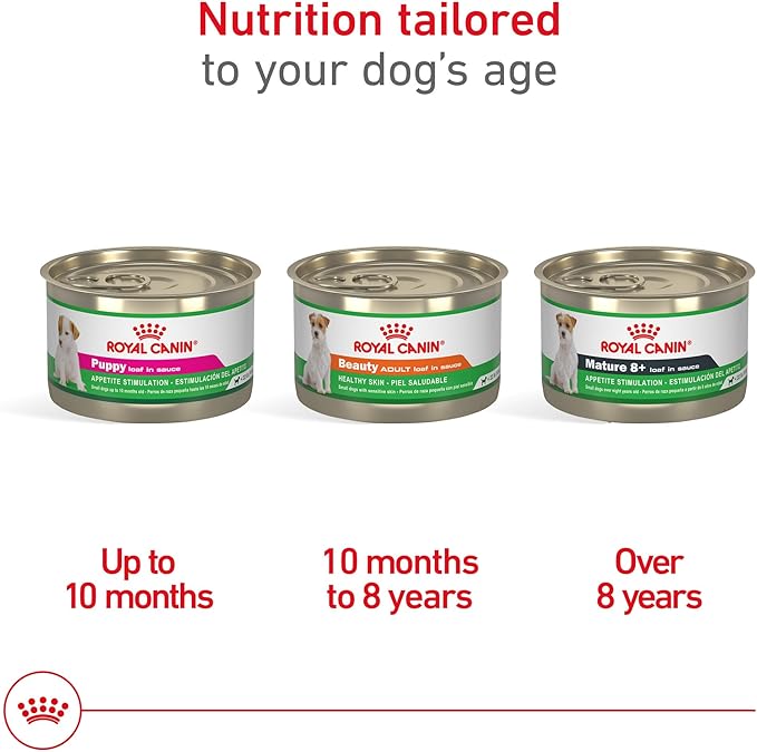 Royal Canin Canine Health Nutrition Puppy Loaf in Sauce Dog Food, 5.2 oz (Pack of 24)