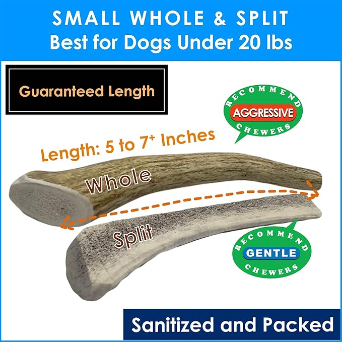 2 x 1-LB Small Mixed Whole & Split Elk Antler Dog Chews for Toy to Small Dogs Under 20 lbs (5-7+ Inch) | Long Lasting | Teeth Cleaning | No Rawhide