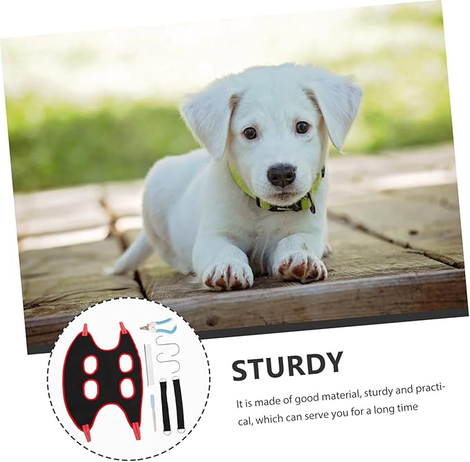 Essential Grooming Kit Nail Clippers Comb and Sling for Your Pet's Comfort and Safety Random