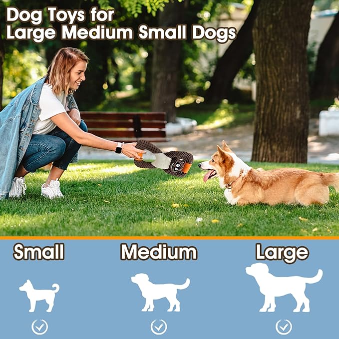 Squeaky Dog Chew Toys for Aggressive Chewers, Toys for Large Medium Small Breed Dog, Indestructible Tough Durable Dogs Toys(2Pcs Raccoon)
